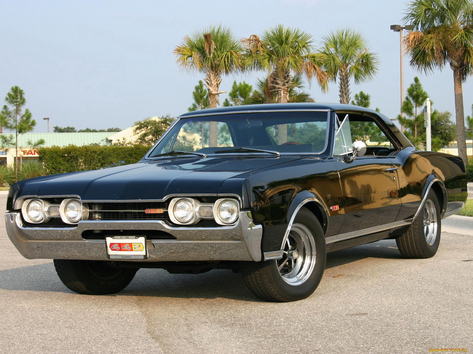 oldsmobile, 442, 